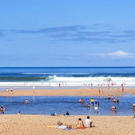 Domaine Du Belvedere-1 By Interhome Appartement *